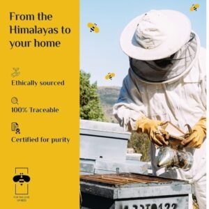 Honey twigs 🍯🐝🌈 Rainbow pack